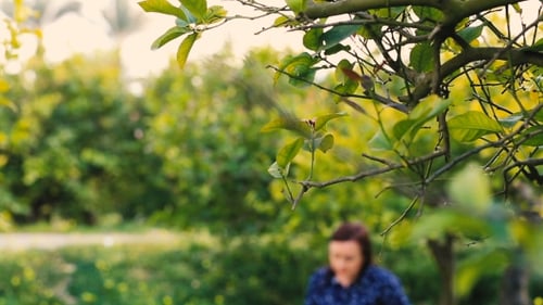 Attractive Woman Reading Book In Park.