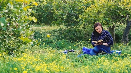 Attractive Woman Reading Book In Park.