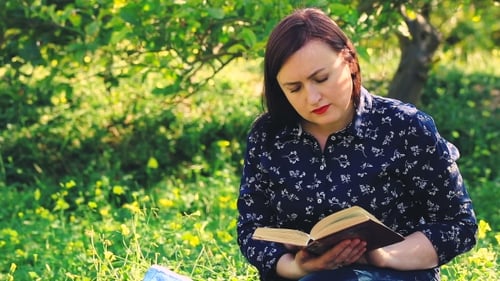 Attractive Woman Reading Book In Park.
