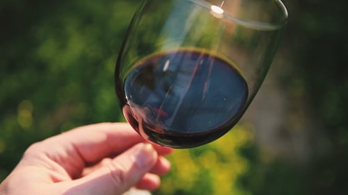 Hand Shakes Dark Red Wine In a Transparent Wineglass.
