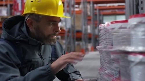Warehouse Worker Checking Inventory