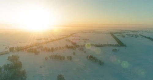 Aerial Drone View of Cold Winter Landscape with Arctic Field Trees Covered with Frost Snow and