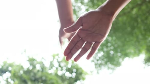 People Connecting Hands Together Outside in Nature