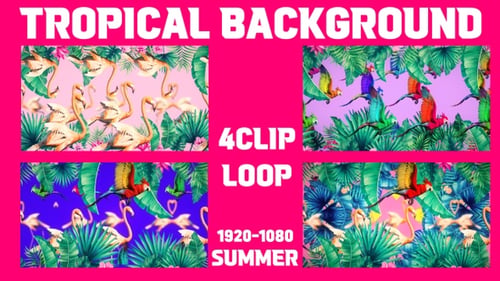 Bucle Fondo Tropical 4Clip