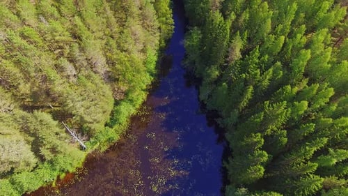 Luftaufnahme eines Flussdeltas, Wald und Moor im Hintergrund in der finnischen Wildnis, Juli 2018.