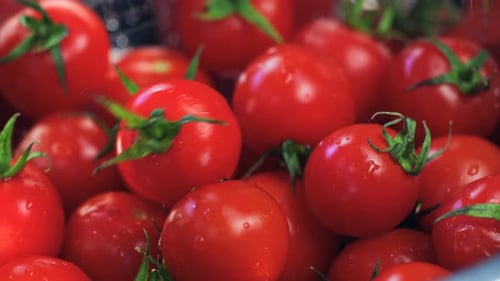 Fallende Tomate im Korb