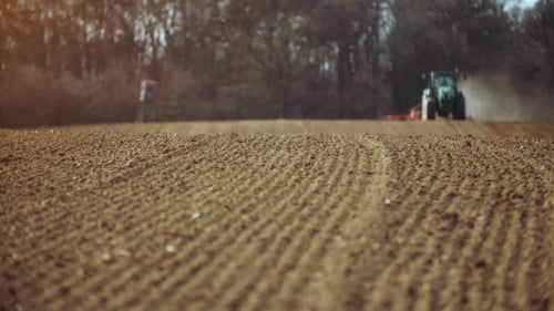 Agricultural Tractor Sowing And Cultivating Field