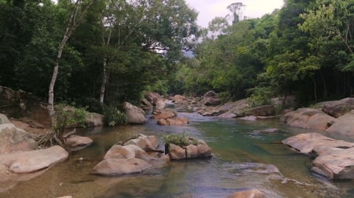 Rapid River In The Tropical Jungle