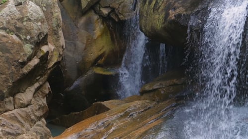 Cachoeira na floresta tropical