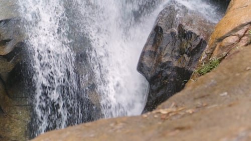 Waterfall In Tropical Forest