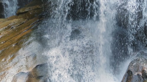 Waterfall In Tropical Forest