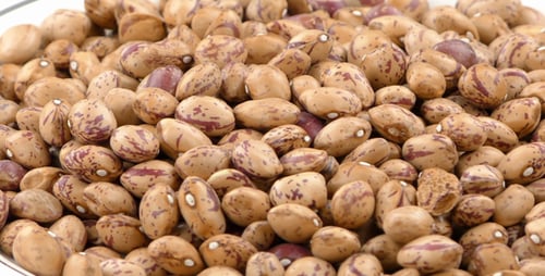 Bowl of colorful lima beans