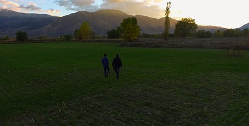Gehen in der Natur