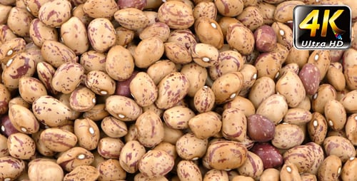 Close Up of Pile of Dried Pinto Beans