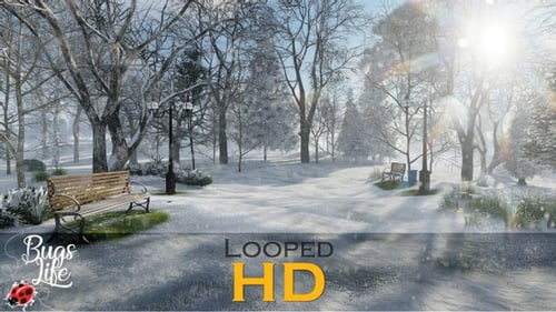 Winter Snow HD