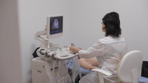 Dr. Prints Picture. Ultrasonic And Work With It