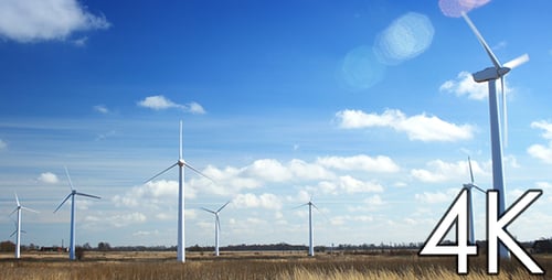 Wind Turbines Turning in a Sunny Rural Field