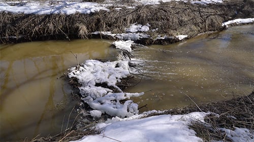 Kleine Wasserfälle im Forest River 7