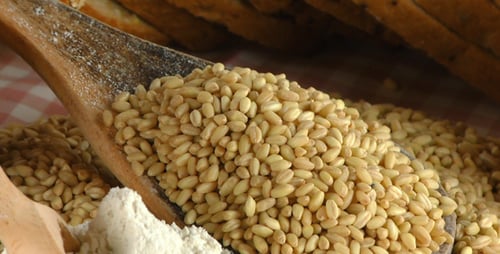 Köstliche Brotmischung Concept 5