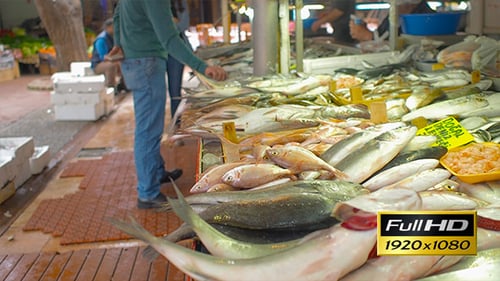 Fischmarkt 7