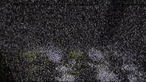 TV Static Glitch Background Animation with Noise and Interference