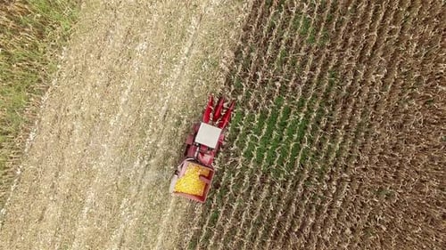 Traktor auf einem ländlichen Farmfeld 2