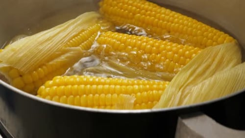 Corn on the Cob Boiling in Pot