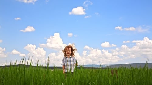 Cute Boy Jumping In Green Meadow