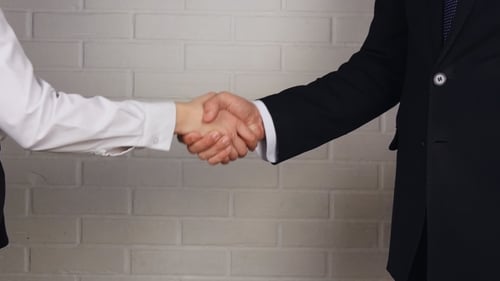 Business Handshake Deal Between Two People