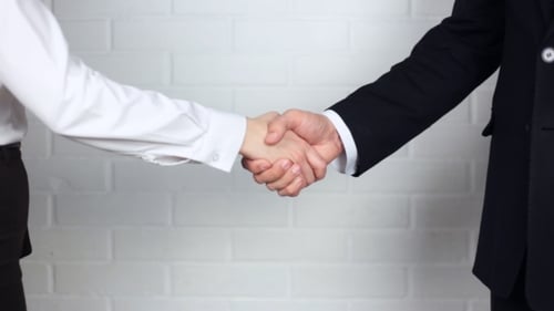 Professional Handshake Between Two Businesspeople Close Up