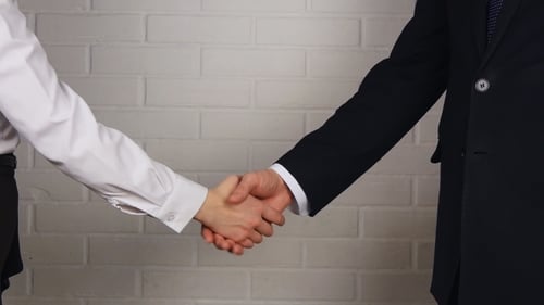 Business Handshake between Colleagues in a Workplace