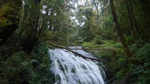 Wasserfall im Wald
