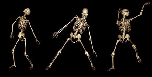 Dancing Human Skeleton Alpha Channel Pack