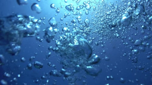 Bubbles Rising Dynamically in Clear Blue Ocean