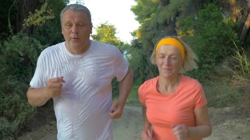 Senior Couple Jogging In The Forest