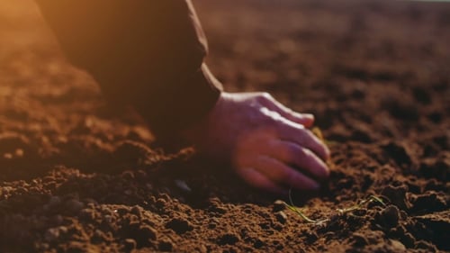 Farmer Examining Soil. Agriculture Background.