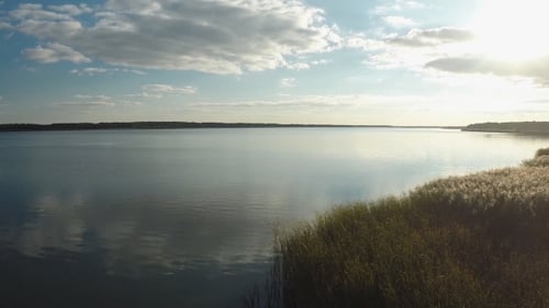 Flying Over The Evening Lake. Beautiful Nature