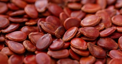 Red water melon dry seed for lunar new year