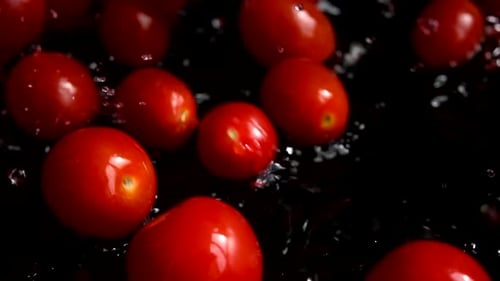 Rote Kirschtomaten ins Wasser fallen lassen. Tomaten waschen. Auf schwarzem Hintergrund.