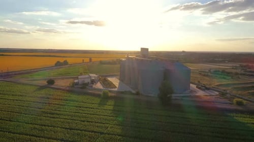 Modern Grain Silos At The Field Of Blooming Sunflowers 19