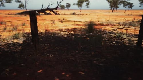 Realistic Australian Outback Desert Landscape Pan with Fence
