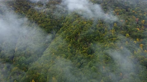 Misty Autumn Mountain Aerial View