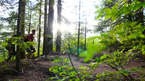 Hiker couple hiking in forest