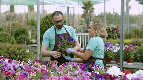 Couple Selecting Flowers in Greenhouse Nursery Together