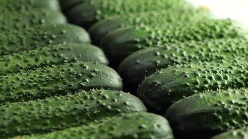 Close-up of Fresh, Green Cucumbers