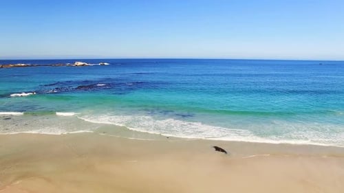 Aerial of beautiful beach