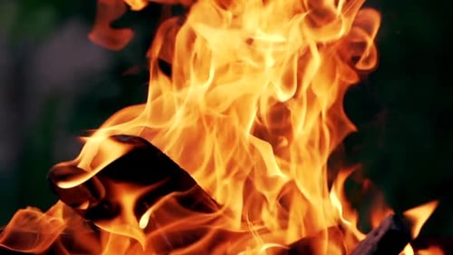 Intense Flames Burning in Close-Up View