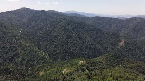Wald-Berg