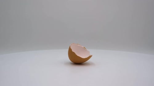 Eggshell