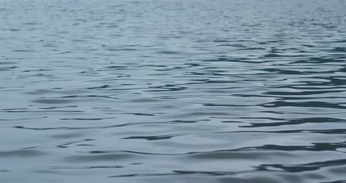 Serene Water Ripples on Calm Lake